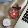 Detailed shot of handcrafted daisy wax toppings on a luxury floral soy candle gift.